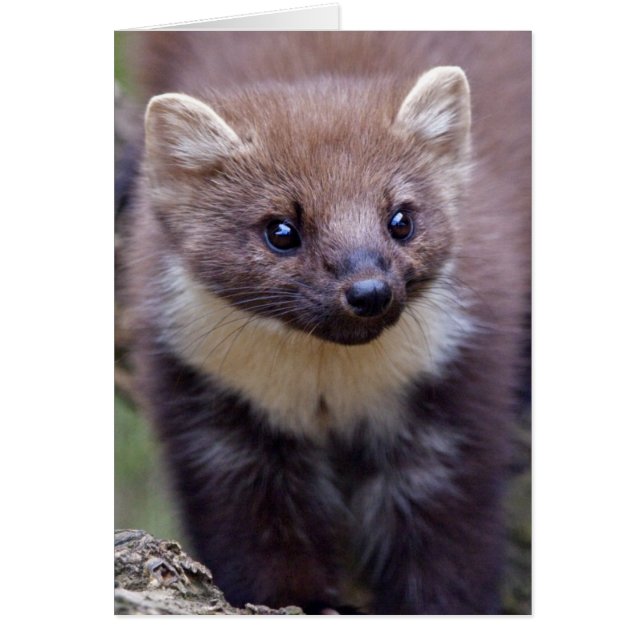 Marty Kaart (Voorkant)