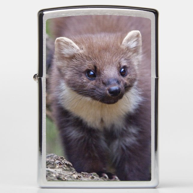 Marty Lighter (Voorkant)