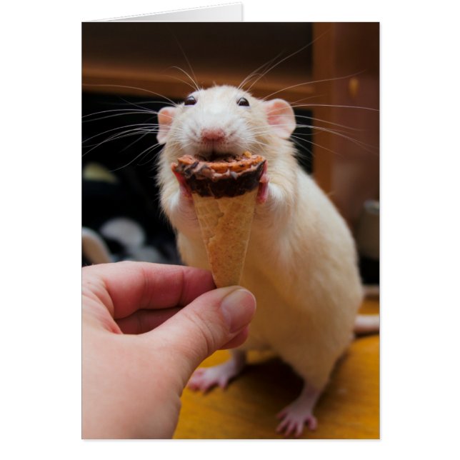 Marty mange de la glace crème (Devant)