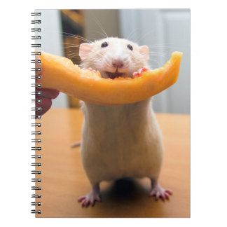 Marty Mouse Journal Notitieboek