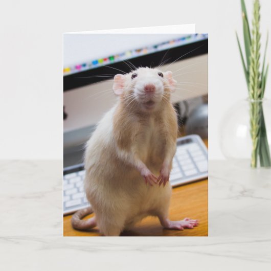 Marty Mouse Staande Wenskaart Kaart (Voorkant)