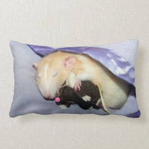 Marty Slaping met RatTeddy 16x16 Pillow Kussen