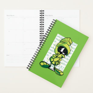 MARVIN THE MARTIAN™ - Croquis