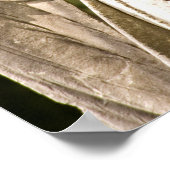 Mary Annie's Angel 16x20 Poster (Hoek)