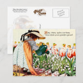 Mary, Mary, heel tegengesteld Briefkaart (Voorkant / Achterkant)