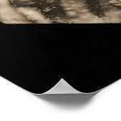 Mary Todd Lincoln Daguerreotype 1846 Poster (Hoek)