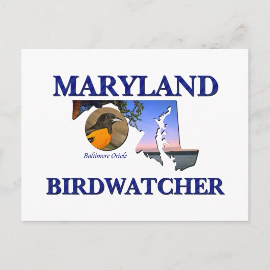 Maryland Birdwatcher Briefkaart (Voorkant)