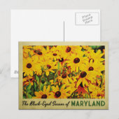 Maryland Black-Eyed Susans Briefkaart (Voorkant / Achterkant)
