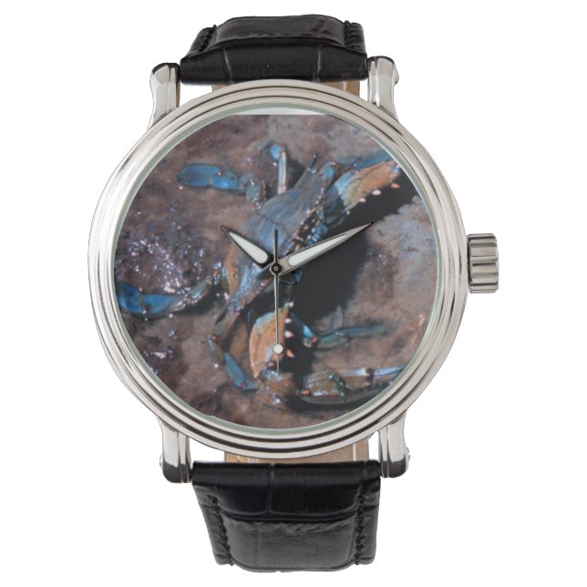 Maryland Blue Crab Horloge (Voorkant)
