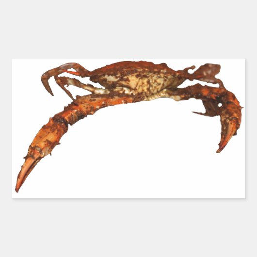 Maryland Blue Crab Rechthoekige Sticker (Voorkant)