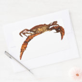 Maryland Blue Crab Rechthoekige Sticker (Envelop)
