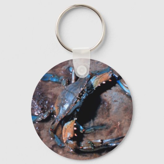 Maryland Blue Crab Sleutelhanger (Voorkant)