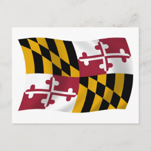 Maryland Flag Briefkaart
