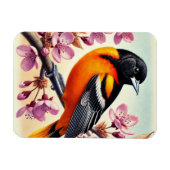 Maryland State Bird Baltimore Oriole Magneet (Horizontaal)