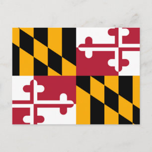 Maryland State Flag Design Briefkaart