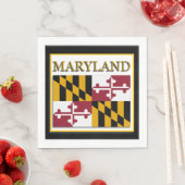 Maryland State Flag Design Servet (Insitu)