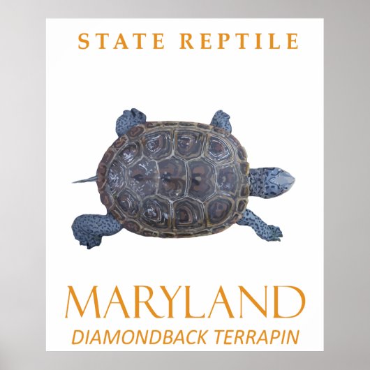 Maryland Territory Reptile De zoetwaterschildpad Poster (Voorkant)