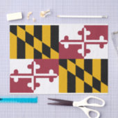 Maryland Tissuepapier (Craft)