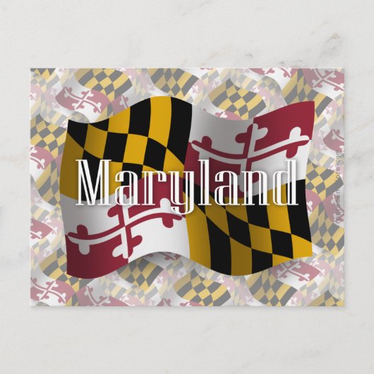 Maryland Waving Flag Briefkaart (Voorkant)