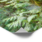 Marymere Herfsten I Poster (Hoek)