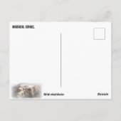 MASADA, ISRAËL BRIEFKAART (Achterkant)