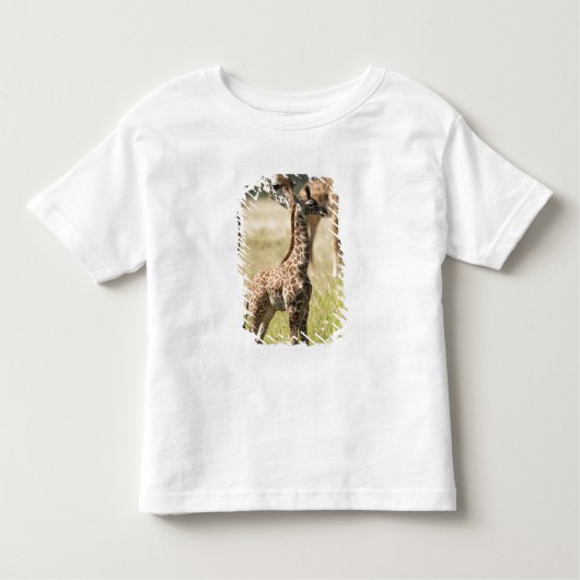Masai giraffes, Giraffa camelopardalis 2 Kinder Shirts (Voorkant)