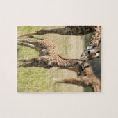 Masai giraffes, Giraffa camelopardalis 2 Legpuzzel (Horizontaal)