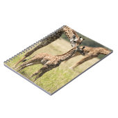 Masai giraffes, Giraffa camelopardalis 2 Notitieboek (Linkerzijde)