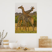 Masai Giraffes Kenya Afrique poster (Cuisine)
