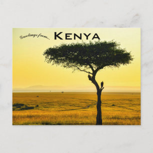 Masai Mara National Reserve in het Briefkaart Keni