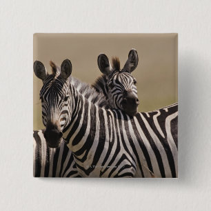 Masai Mara National Reserve, Kenia, juli 2005 3 Vierkante Button 5,1 Cm