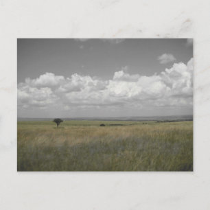 Masai Sky Briefkaart