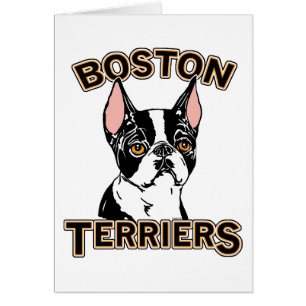 Mascotte Boston Terriers