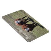 Masculine Koe Dank u wel Magneet (Rechterzijde)