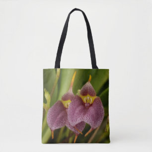 Masdevallia Draagtas