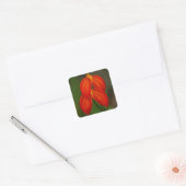 Masdevallia ignea Orchid Vierkante Sticker (Envelop)