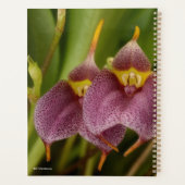 Masdevallia Planner (Achterkant)