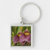 Masdevallia Sleutelhanger (Voorkant)