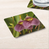 Masdevallia Vierkante Kartonnen Onderzetter (Schuin)