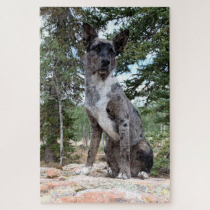 Mask Brindle Cattle Dog merkt Scene op Legpuzzel