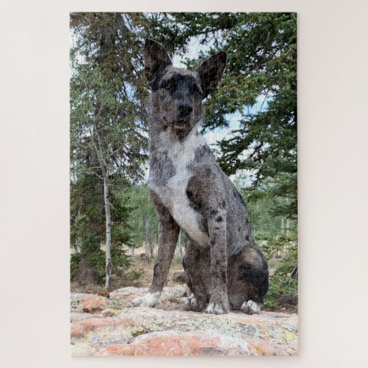 Mask Brindle Cattle Dog merkt Scene op Legpuzzel (Verticaal)