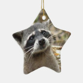 Mask Raccoon Ornament (Rechts)