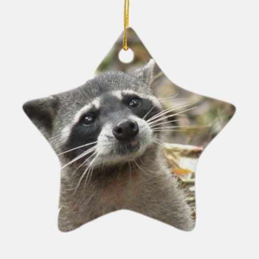 Mask Raccoon Ornament (Voorkant)