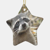 Mask Raccoon Ornament (Links)