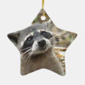 Mask Raccoon Ornament (Achterkant)