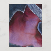 Masker 2009 briefkaart (Voorkant)