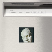 Masker van Beethoven, uit het leven genomen op de  Magneet (Insitu (Vaatwasser))