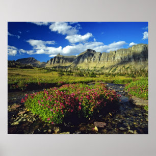 Maskerbloemen bij Logan Pass in Glacier National Poster