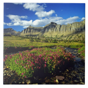 Maskerbloemen bij Logan Pass in Glacier National Tegeltje