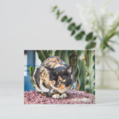 Maspalomas Cat Briefkaart (Staand voorkant)